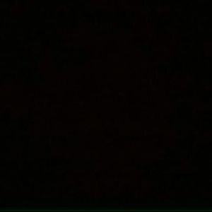 Meet your Posher, Dominick